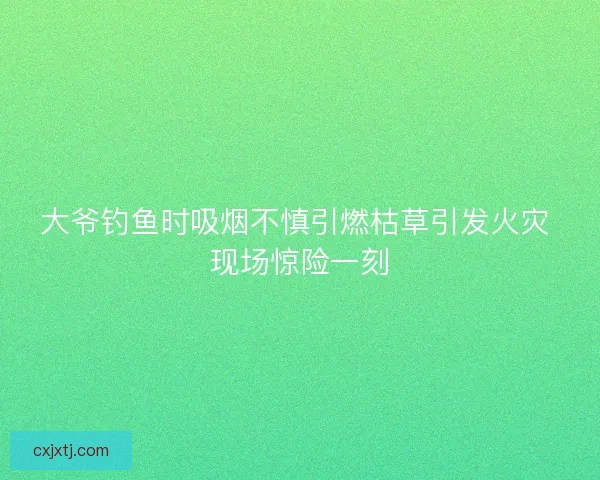 大爷钓鱼时吸烟不慎引燃枯草引发火灾 现场惊险一刻